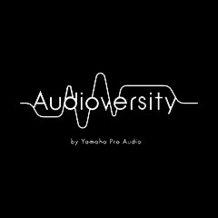 尊龙凯时专业音响教育培训开展全新“Audioversity ”计划